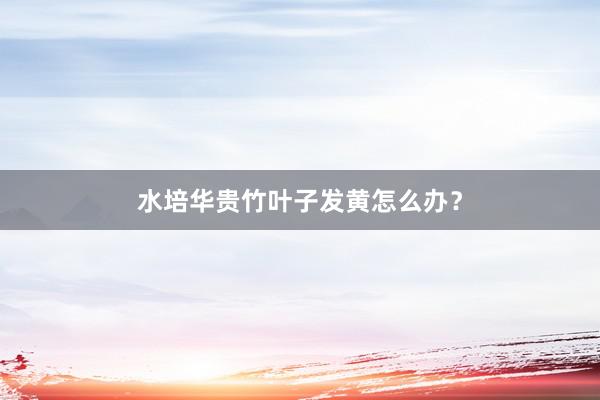 水培华贵竹叶子发黄怎么办？