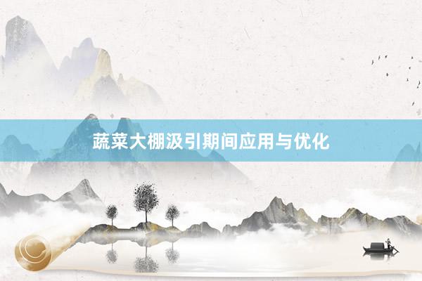蔬菜大棚汲引期间应用与优化