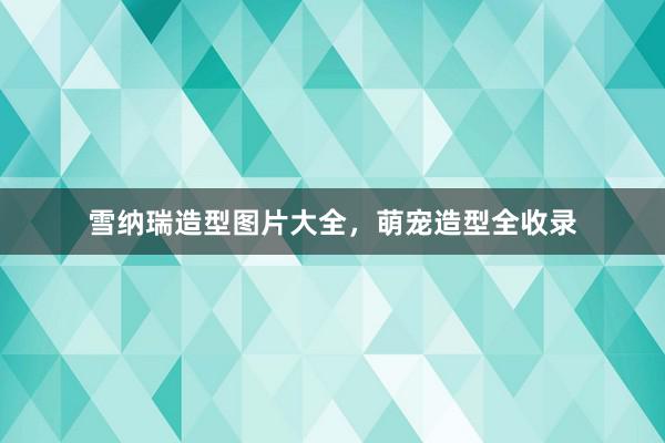 雪纳瑞造型图片大全,萌宠造型全收录