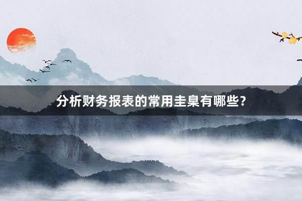 分析财务报表的常用圭臬有哪些？